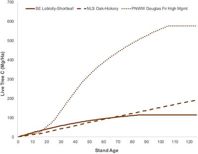 Crediting temporary forest carbon: Retrospective and empirical perspectives on accounting options